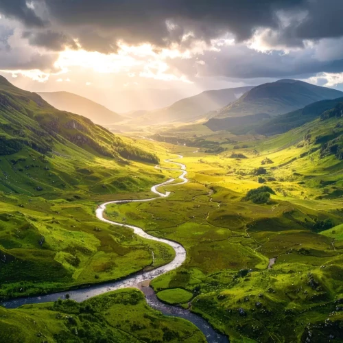 Alternating Content Area 2