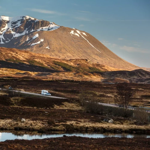 Alternating Content Areas 3