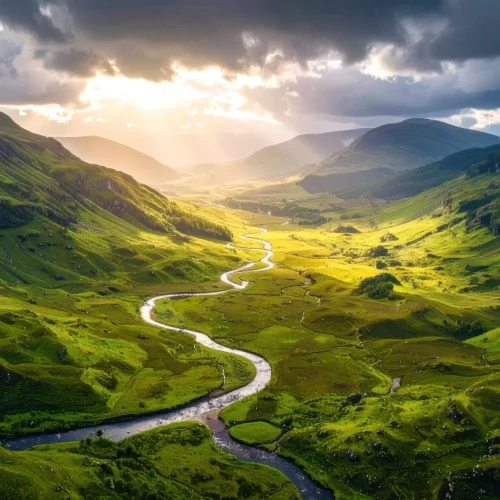 Alternating Content Area