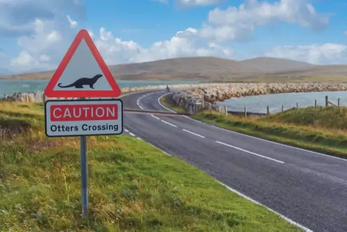 Driving in the Highlands